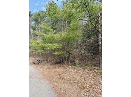 1304 Us Route 209, Cuddebackville, NY 12729