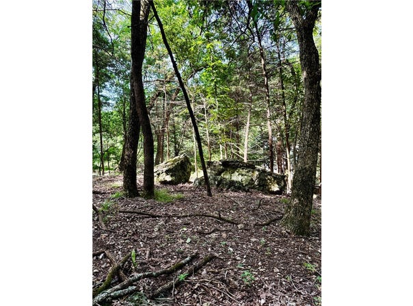 Pine Drive lot: 39, Garfield, AR 72732