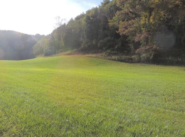 Gambetta Rd. lot: 11, Galax, VA 24333
