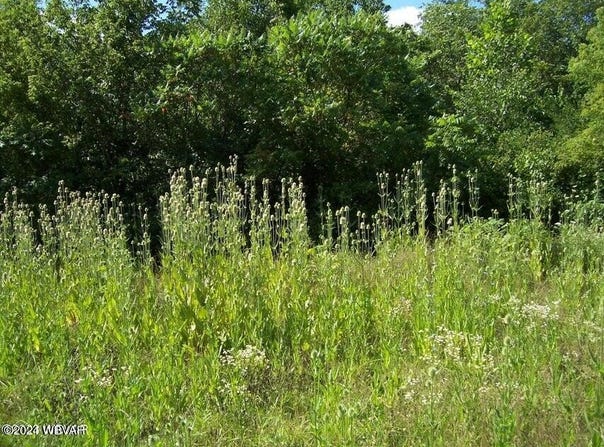 0008 LONG RUN Road, Mill Hall, PA 17751