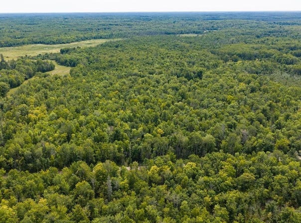 150th, McGrath, MN 56350