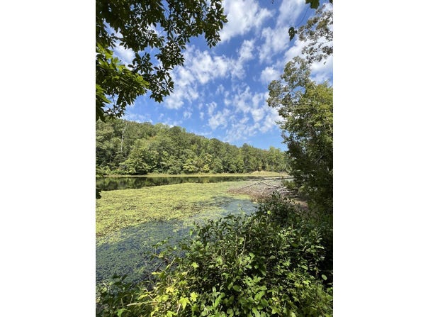 Judson Park Dr, Cottondale, AL 35453