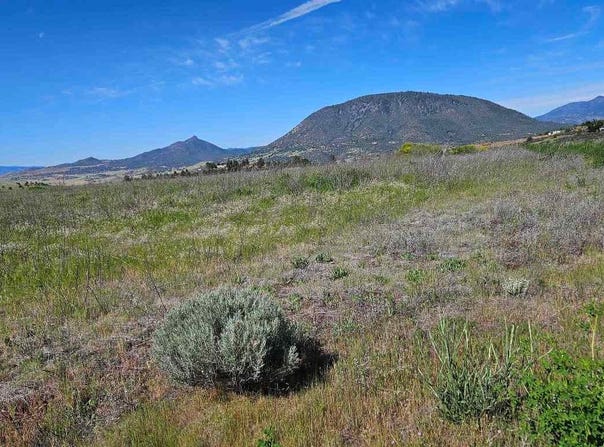 Ager Beswik, Montague, CA 96064