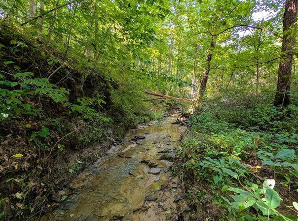 Crews Lane, Chesterhill, OH 43728