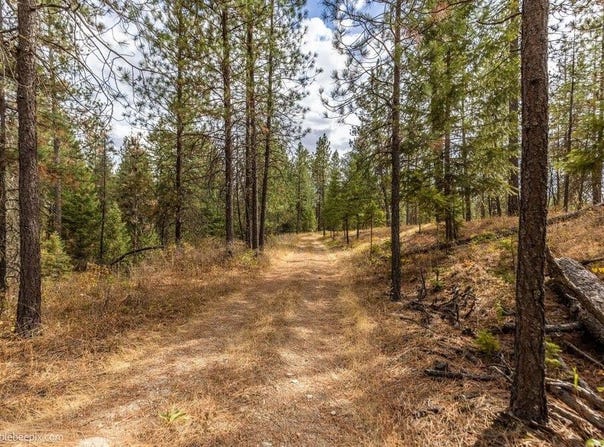 N Vista Cir, Colbert, WA 99005
