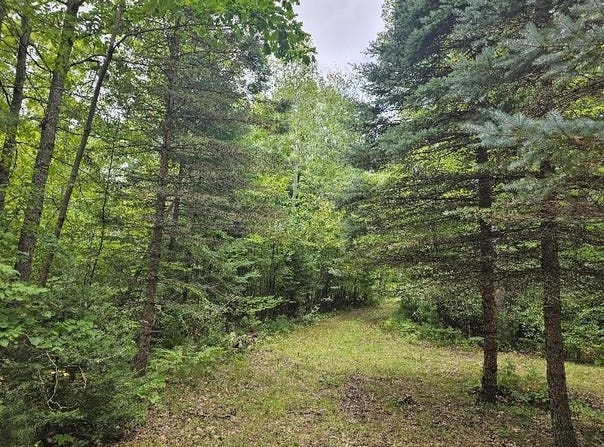 3900 N M 30 Road, Gladwin, MI 48624