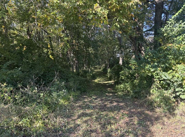 21 County Road 500 E, Sadorus, IL 61872