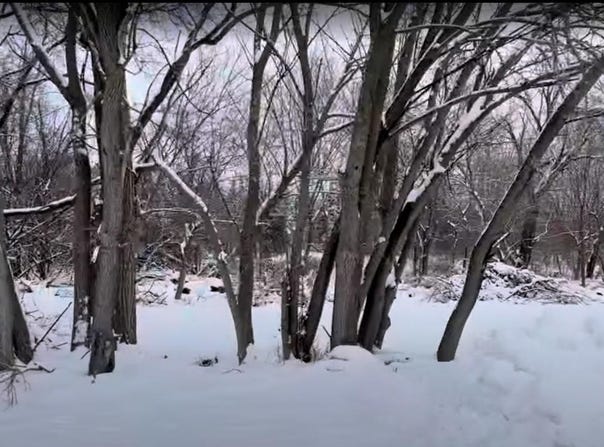 Vacant Heiden Avenue, Crest Hill, IL 60403