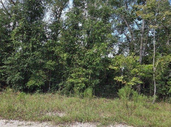 164TH STREET, McAlpin, FL 32062
