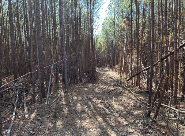 County Road 325, Hamilton, AL 35570