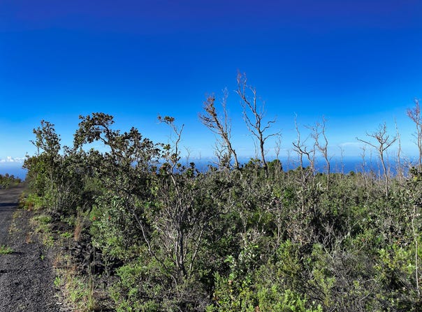 TIKI LN, Ocean View, HI 96737