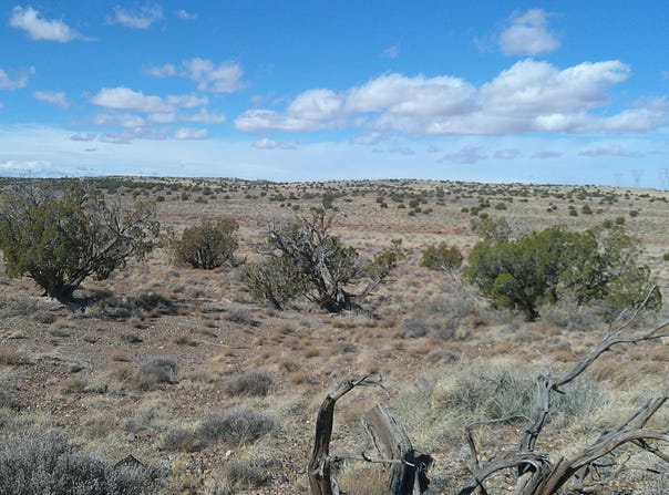5280 Concho Ocho Road, Snowflake, AZ 85937