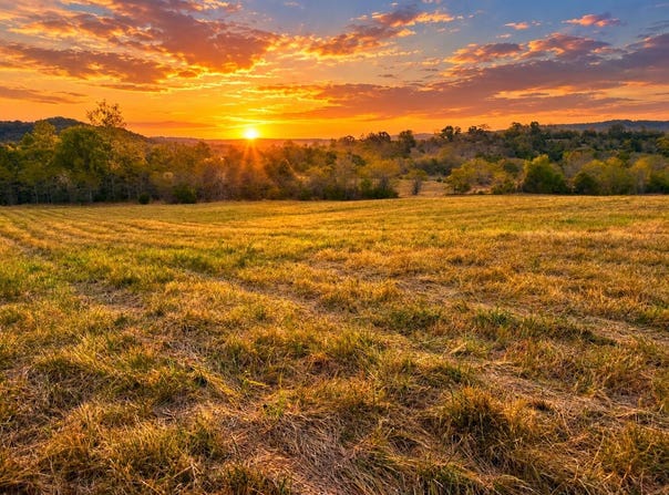 State Highway 86 Tract 5, Eagle Rock, MO 65641