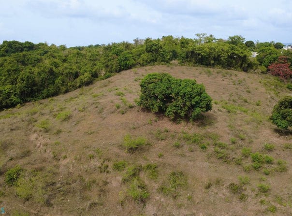 Canovanas, Canovanas, PR 00729