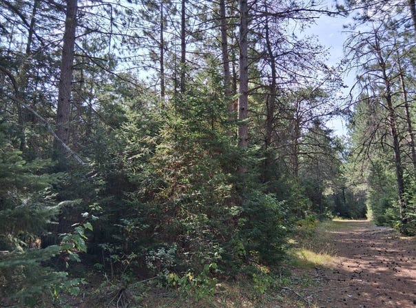 3 Zenith Tower Road, Tomahawk, WI 54487