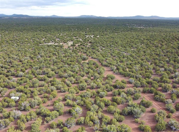 26C Ranch Road, Show Low, AZ 85901