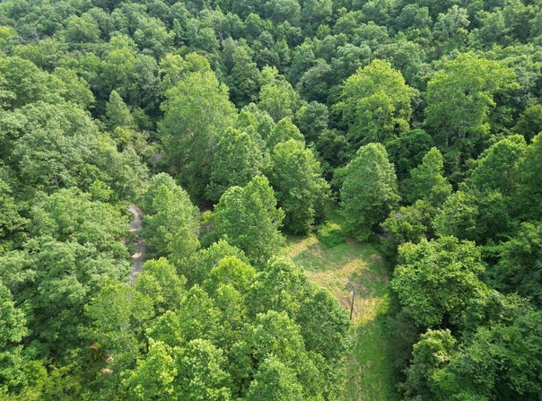 Clover Road, Spencer, WV 25276