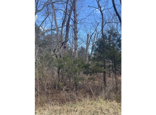 WALKER CREEK RD, MIDDLEBROOK, VA 24459