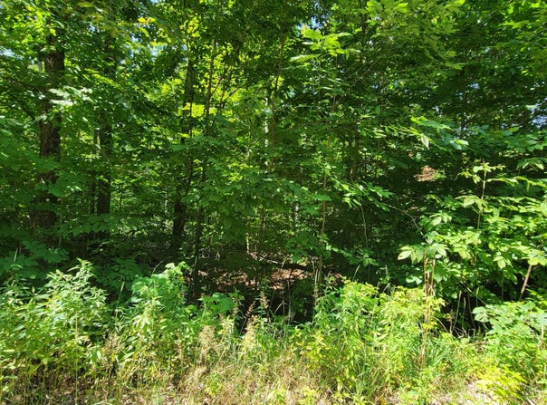 Beechnut Ln lot: 223, Wolverine, MI 49799