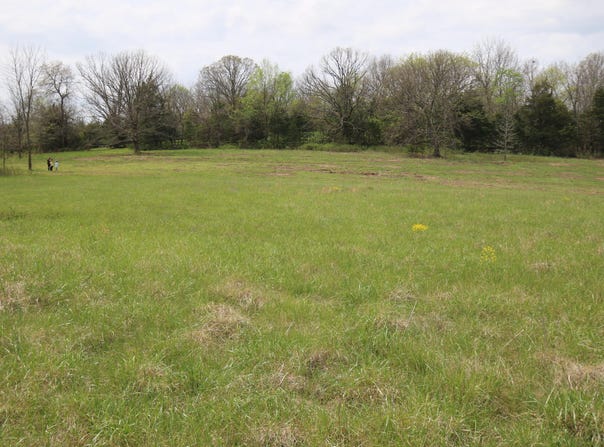 River Pass Drive lot: 6 & 11, Marshfield, MO 65706