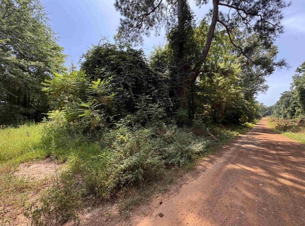 551 Pleasure Point Rd, Lone Star, TX 75668