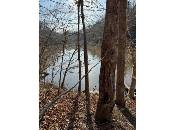 Poplar Dr lot: 26, Hardy, VA 24101