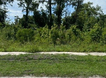 Jasper, FL 32052