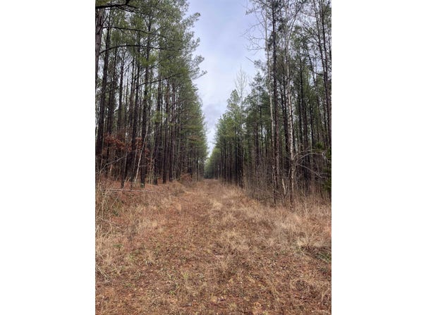 CR 324 Rd W, Iuka, MS 38852