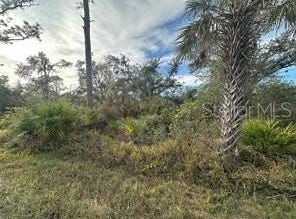 883 BOWMAN Terrace, PORT CHARLOTTE, FL 33953
