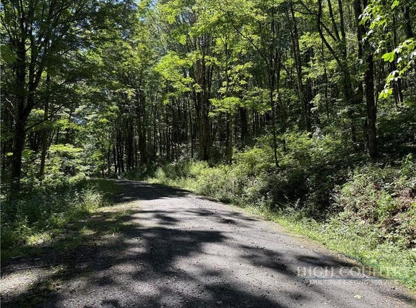 7 Wolfsbane Lane, Todd, NC 28684