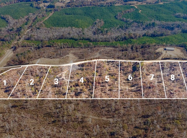 County Road 4251 Lot 1, New Site, MS 38859