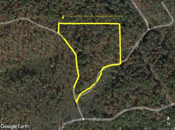 229 Mayapple Road, Harriet, AR 72639