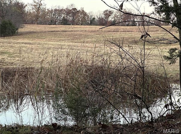 PUMPSTATION Road, Rosebud, MO 63091