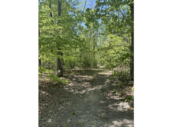 DAVIS Lane, ARODA, VA 22709