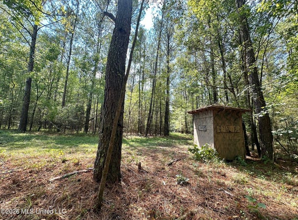 8 Forest Service Road 562, Pulaski, MS 39152