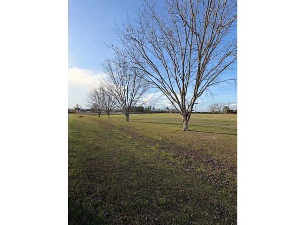 Old Valdosta Rd lot: #30, Nashville, GA 31639