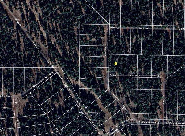 Pelican Dr, Alturas, CA 96101