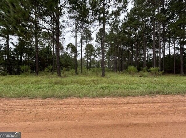 165 Creekside Way, Metter, GA 30439