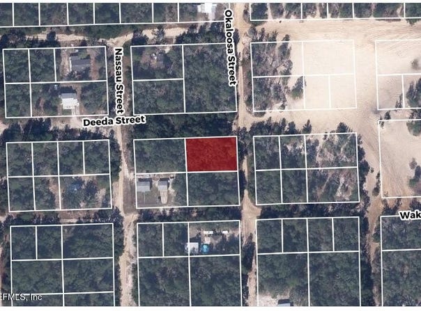 607 DEEDA Street, Florahome, FL 32140