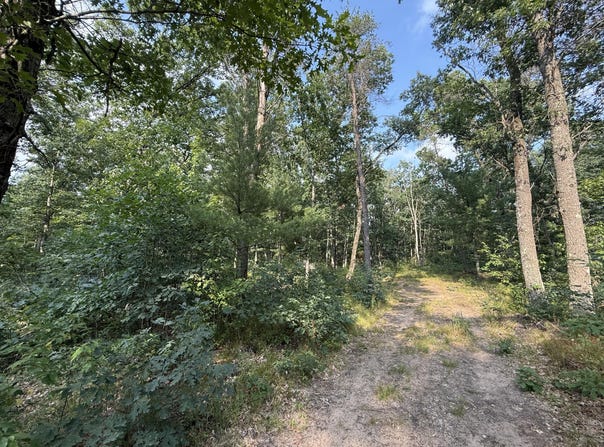 2668 W Moonflower, Baldwin, MI 49304
