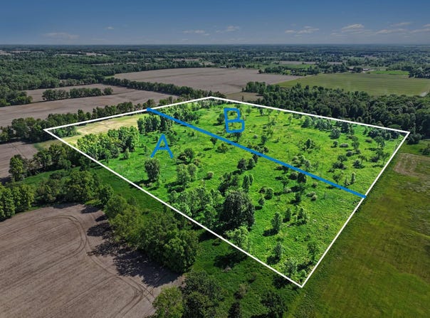 0 V/L E Charles Road, Ionia, MI 48846
