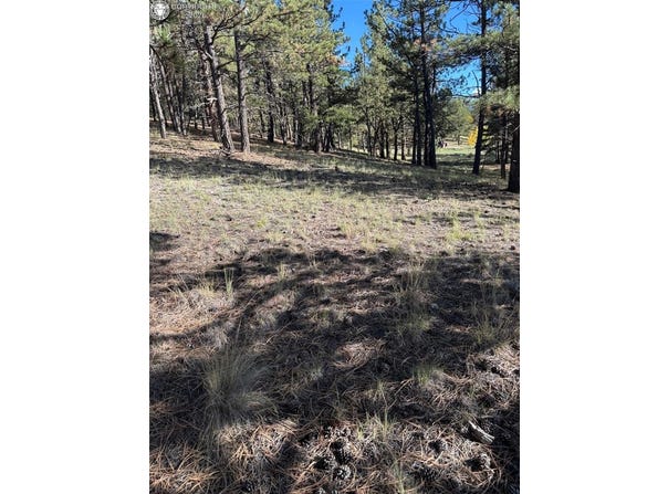 44 Horn Silver Drive, Westcliffe, CO 81252