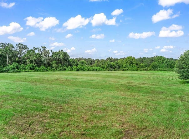 2239 SE 112TH Avenue, WEBSTER, FL 33597