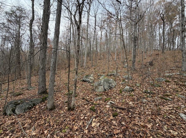 0 Spring Hill Rd, Healing Springs, VA 24445