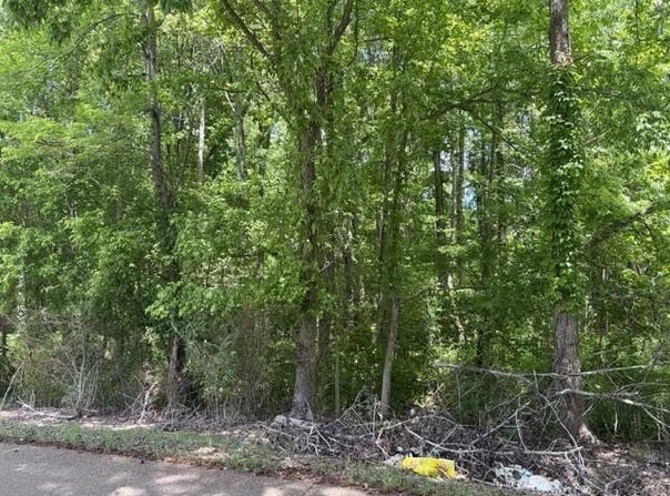 LIBERTY Rd, Moscow, TN 38057