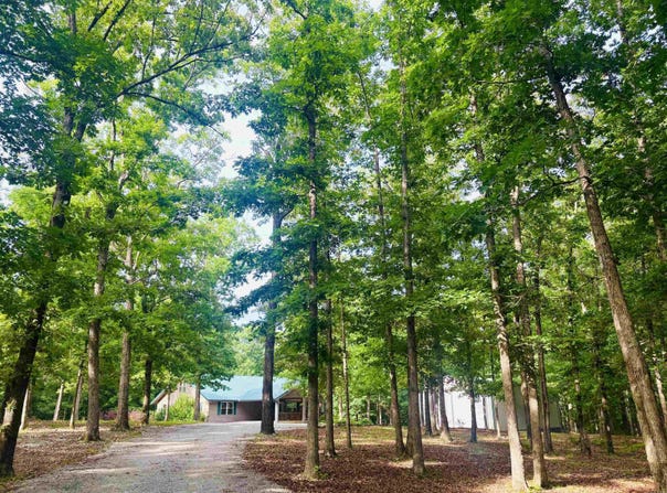 252 Mitchell Road, Mountain View, AR 72560