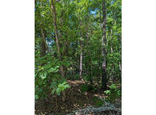 Fine Drive, Galena, MO 65656