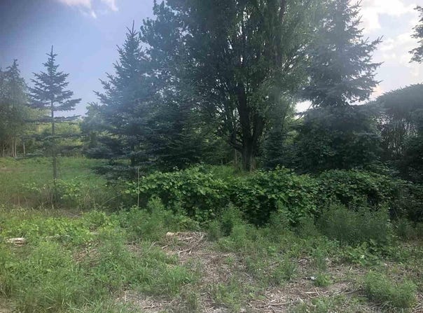31 Mile Rd. Parcel 3, Ray Twp, MI 48096