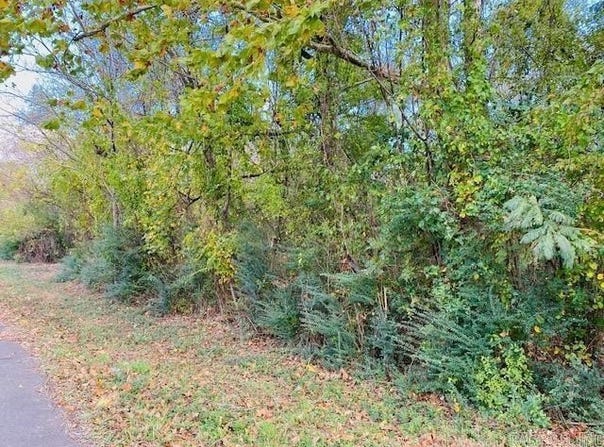 Unk Maple Street, Mena, AR 71953