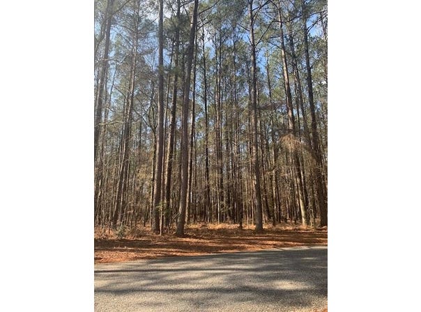 Unit 25 Lot 17, PACHUTA, MS 39347